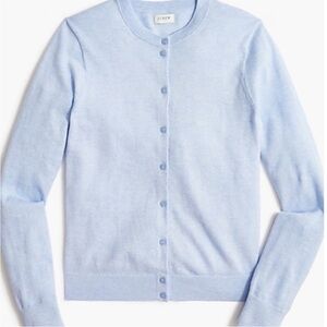 J. Crew Light Blue Cardigan Sweater
